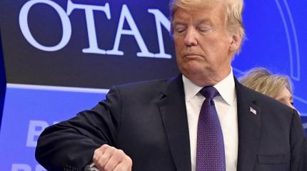 «Убить двух зайцев»: Трампу предложили принять Россию в НАТО