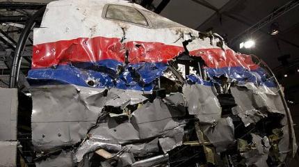 Дело крушения Боинга MH17: Нидерланды основательно подошли к суду Дело крушения Боинга MH17: Нидерланды основательно подошли к суду