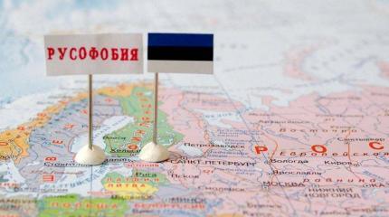 В Эстонии создают ударную силу по развалу России