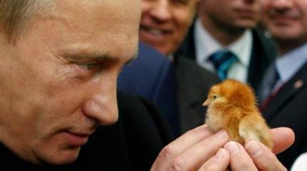 Путин или Сверх-Путин: мечты элиты о будущем