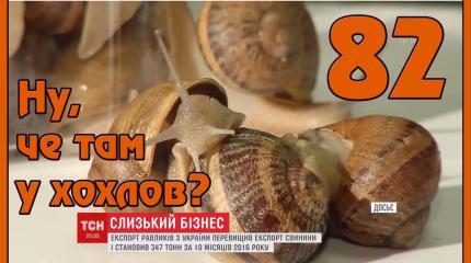 Ну, чё там у хохлов? Выпуск 82. Зрада 2017. Сало из Германии