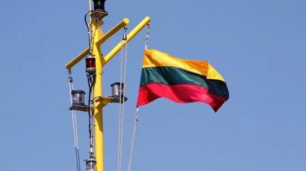 Повод раздуть скандал: в Литве испугались идеи РФ оспорить ее независимость Повод раздуть скандал: в Литве испугались идеи РФ оспорить ее независимость