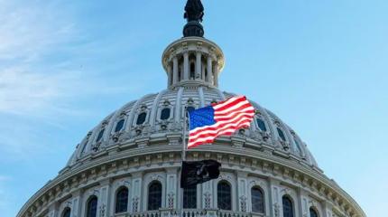 Шатдаун в США отменила украинская диаспора