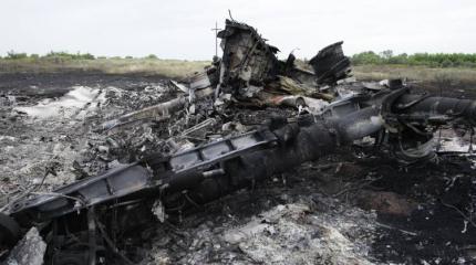 Суд в Нидерландах вынес решение по обломкам самолета MH17 Суд в Нидерландах вынес решение по обломкам самолета MH17
