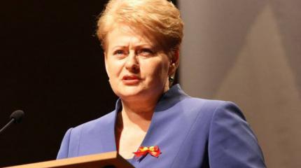 МИД России посоветовал президенту Литвы Грибаускайте "умерить свой комсомольский запал" МИД России посоветовал президенту Литвы Грибаускайте "умерить свой комсомольский запал"