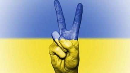 Политика и хитрость: О планах Украины по возвращению Крыма и Донбасса Политика и хитрость: О планах Украины по возвращению Крыма и Донбасса