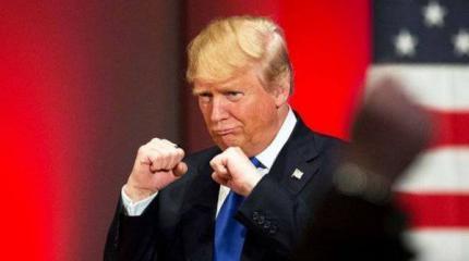Трамп в нокауте Трамп в нокауте