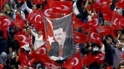 Неоосманизм: кому это выгодно