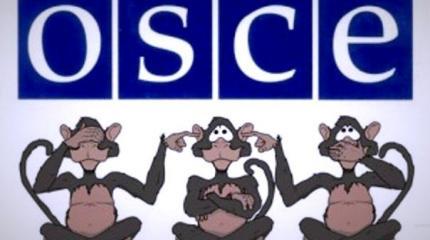 Порошенко «поспешил» вооружить ОБСЕ на Донбассе Порошенко «поспешил» вооружить ОБСЕ на Донбассе