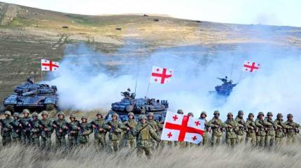 Украину и Грузию в НАТО не ждут Украину и Грузию в НАТО не ждут