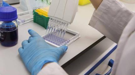Запад готовит «капкан для Кремля» против русской вакцины Запад готовит «капкан для Кремля» против русской вакцины