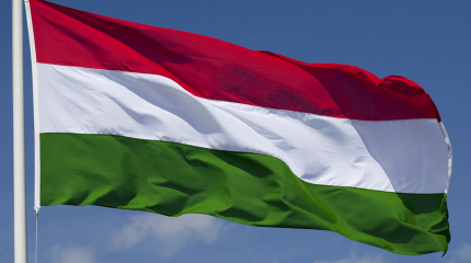 Венгрия своих не бросает Венгрия своих не бросает