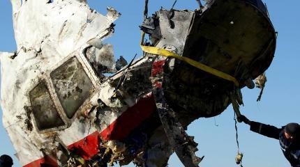 Нидерланды хотят добить Россию в деле MH17 Нидерланды хотят добить Россию в деле MH17
