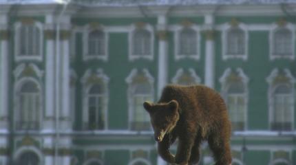 Подслушано за границей: что думают иностранцы о России Подслушано за границей: что думают иностранцы о России