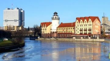 В Литве требуют называть Калининград Караляучюсом