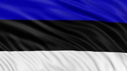 Смысл военного психоза Эстонии Смысл военного психоза Эстонии