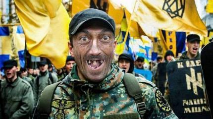 Новый политический режим Украины – «расово правильная» демократия Новый политический режим Украины – «расово правильная» демократия