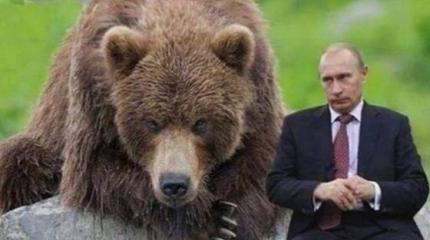 «Диктатор» и медведи: «плохая» Россия в украинских СМИ. ТОП-5 дня «Диктатор» и медведи: «плохая» Россия в украинских СМИ. ТОП-5 дня