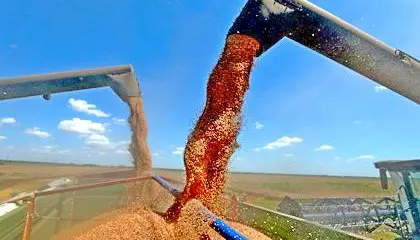 Данные об урожае на Украине признали военной тайной Данные об урожае на Украине признали военной тайной