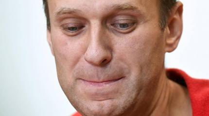 ЕС осудил "то, что выглядит как покушение на Навального"