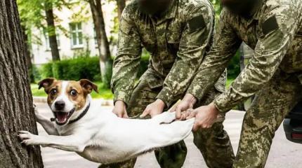 Героем Одессы стала собака, пострадавшая от бандеровцев