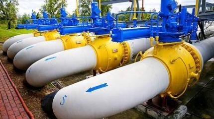 Слон из мухи. К реакции на газовую скидку для Украины