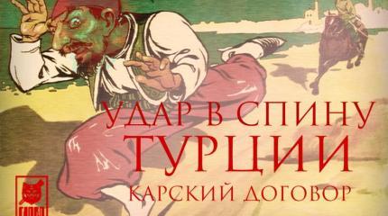 Раздел Турции не за горами: русская месть за сбитый Су-24 Раздел Турции не за горами: русская месть за сбитый Су-24