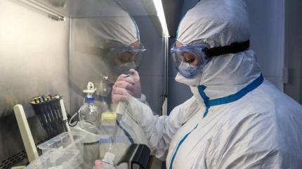 Запад готовится обвинить Россию в разработке коронавируса Запад готовится обвинить Россию в разработке коронавируса