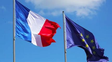 Долой флаги ЕС: «Маленькие мэры» — против «брюссельского ига»