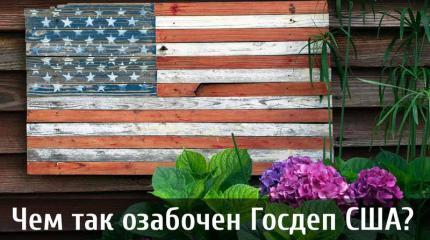 Чем так озабочен Госдеп США?