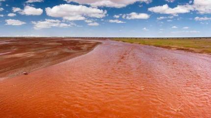 Вода в США заражена!