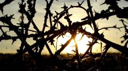Украина: тернистый путь поиска компромисса Украина: тернистый путь поиска компромисса