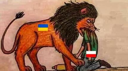 «Вы уверены, что живёте в Польше?» – жители Варшавы раздражены Украиной