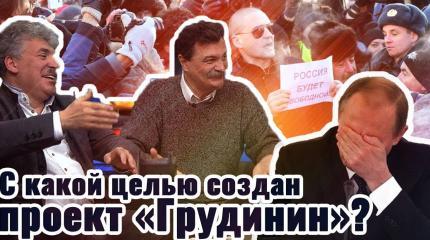 С какой целью создан проект "Грудинин"?