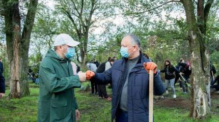 Итоги выборов президента Молдовы могут решить аграрии Итоги выборов президента Молдовы могут решить аграрии