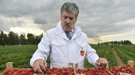 Критический разбор «20 шагов Павла Грудинина» Критический разбор «20 шагов Павла Грудинина»