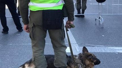 «Валютные проститутки» выходят на революцию «Валютные проститутки» выходят на революцию