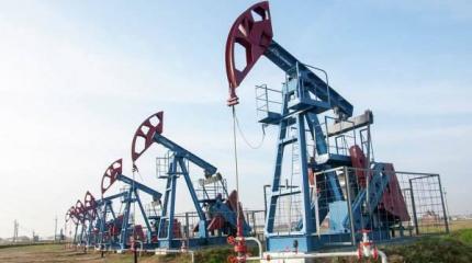 В США рекордными темпами закрываются нефтяные вышки В США рекордными темпами закрываются нефтяные вышки