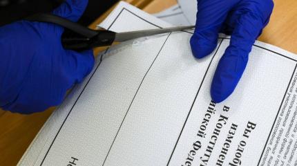Фейк ньюс против Кремля: почему фабрика троллей атакует референдум Путина Фейк ньюс против Кремля: почему фабрика троллей атакует референдум Путина