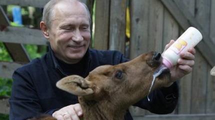 Путин возвращается к внутренней политике: каких перемен ждать стране?