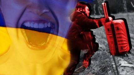 «Миграционная бомба»: США объявили «войну» ЕС с помощью беженцев из Украины «Миграционная бомба»: США объявили «войну» ЕС с помощью беженцев из Украины