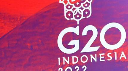 Усиление антироссийской риторики: ожидания экспертов от саммита G20 Усиление антироссийской риторики: ожидания экспертов от саммита G20