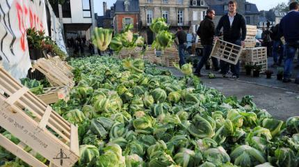 Европейские фермеры снова бастуют