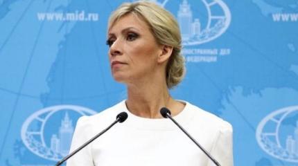 Захарова рассказала, какое слово доминировало на встрече Лаврова и Блинкена