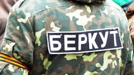 За «Беркут» Украина ответит, если только МИД РФ не струсит За «Беркут» Украина ответит, если только МИД РФ не струсит