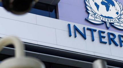 Британия: России нет места в Интерполе Британия: России нет места в Интерполе