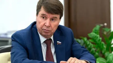 Цеков перечислил преступления киевского режима Цеков перечислил преступления киевского режима
