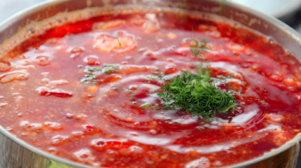 Кипящий прокисший борщ как политическая система Украины