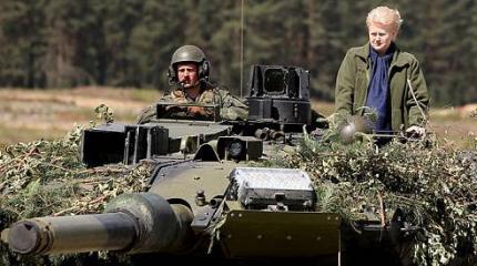 В Литве не хотят воевать за Грибаускайте В Литве не хотят воевать за Грибаускайте