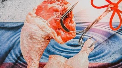 Запад 20 лет держал Россию на крючке куриными ножками Запад 20 лет держал Россию на крючке куриными ножками